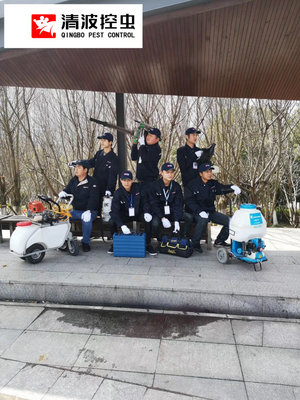 鎮(zhèn)江殺蟲公司 全方位害蟲治理服務(wù)，守護(hù)您的健康與安寧